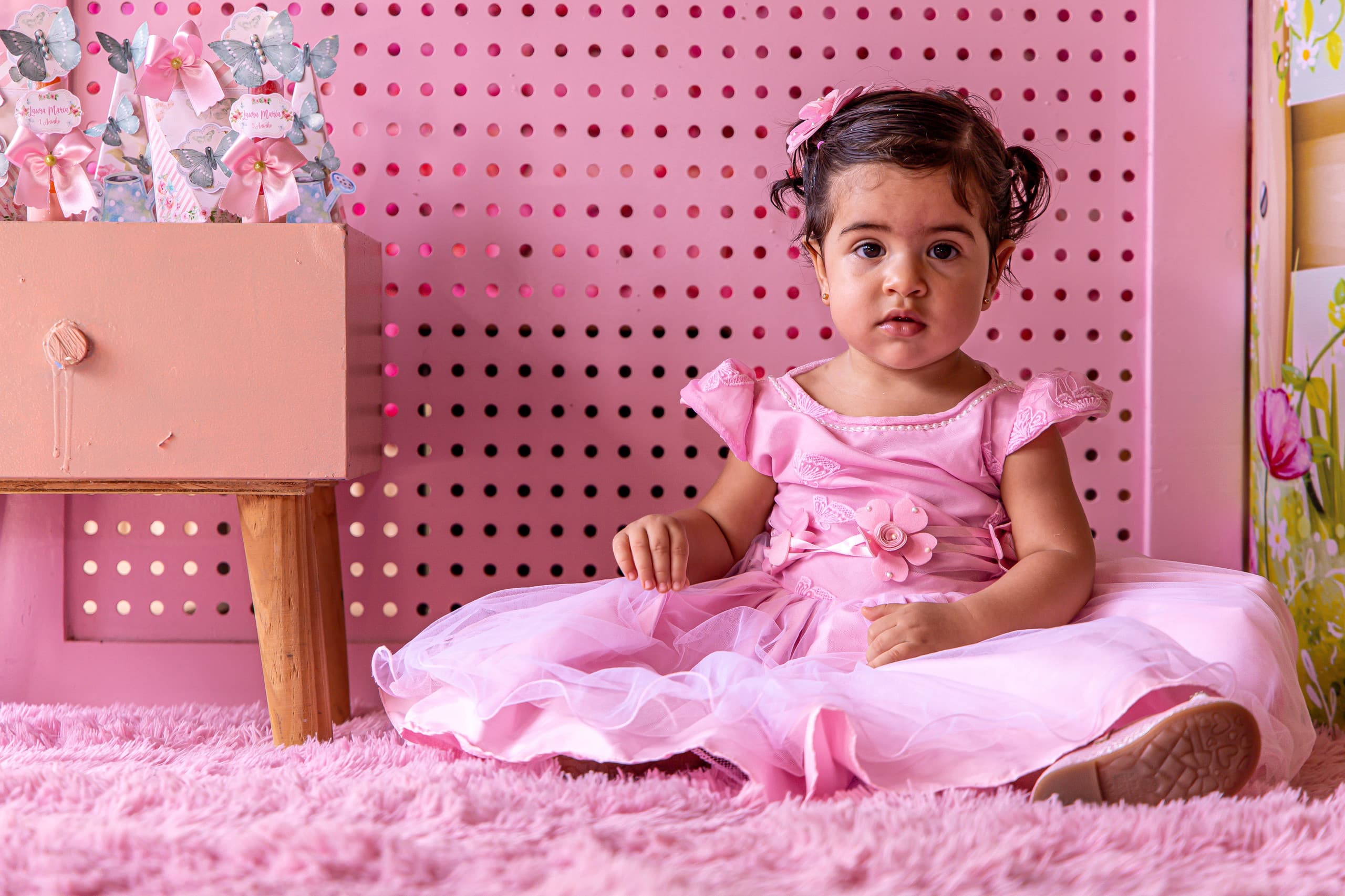 Aniversário - Laura Maria 1 ano